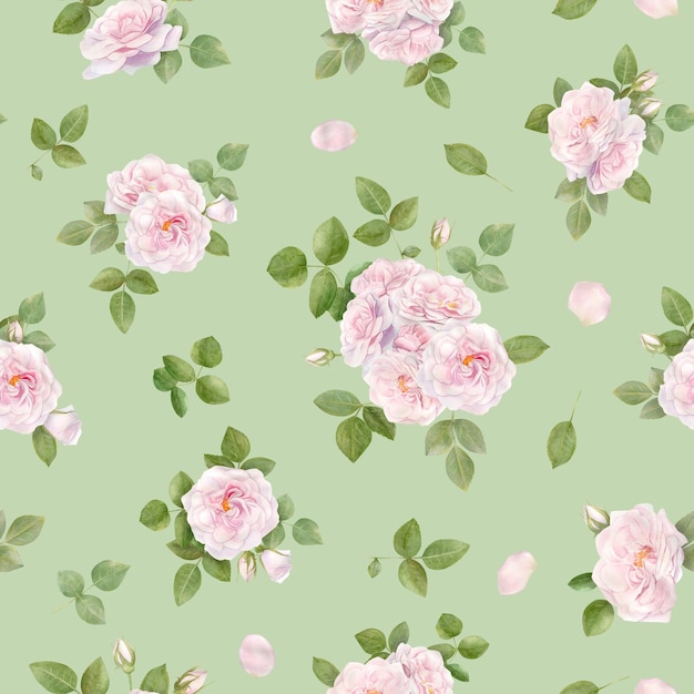 Hand drawn watercolor seamless pattern with pink rose flowers