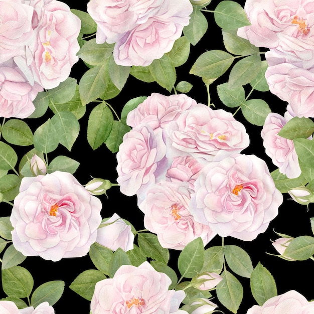 Hand drawn watercolor seamless pattern with pink rose flowers