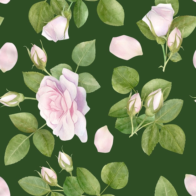 Hand drawn watercolor seamless pattern with pink rose flowers