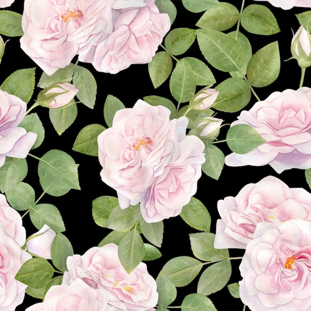 Hand drawn watercolor seamless pattern with pink rose flowers