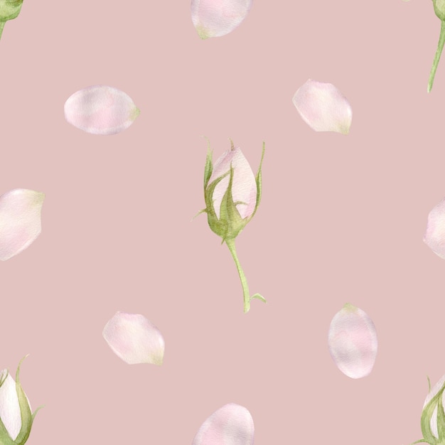 Hand drawn watercolor seamless pattern with pink rose flowers