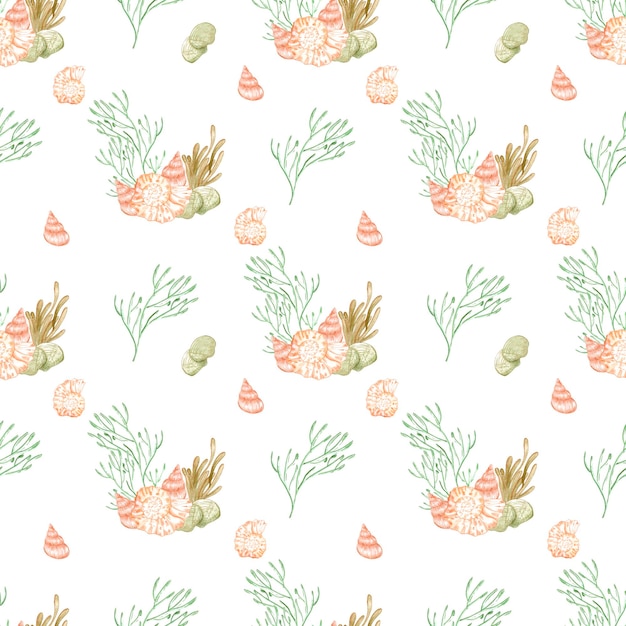 Hand drawn watercolor seashells and seaweed seamless pattern isolated on white background Scrapbook post card textile fabric