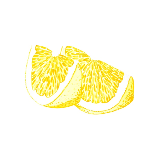 Hand drawn watercolor slice of lemon isolated on white background Scrapbook post card banner lable