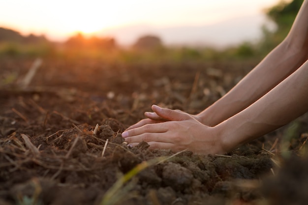 Hand of expert farmer checking soil quality