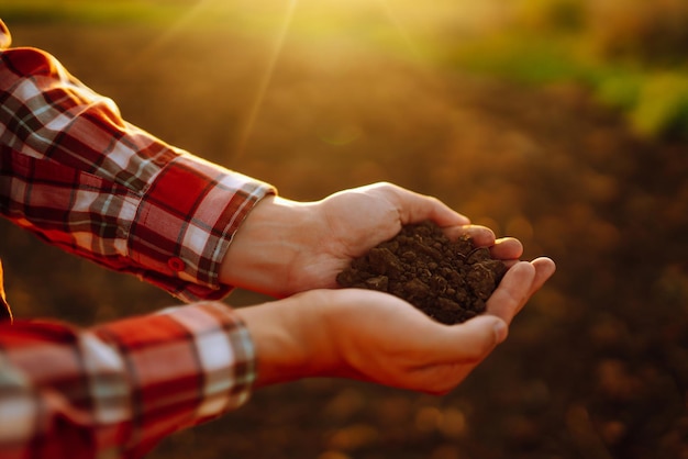 Hand of expert farmer collect soil and checking soil health before growth a seed of vegetable