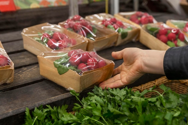 The hand of a female customer takes an eco box with fresh radishes on the counter in the store Health vitamins and natural products Closeup