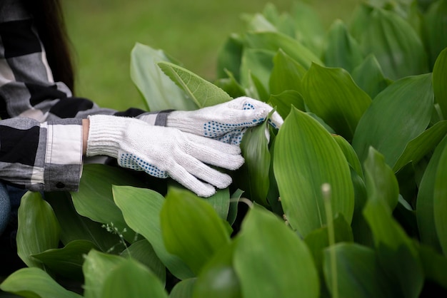 Hand of a female gardener holding a diseased leaf of a plant taking care of the flowers