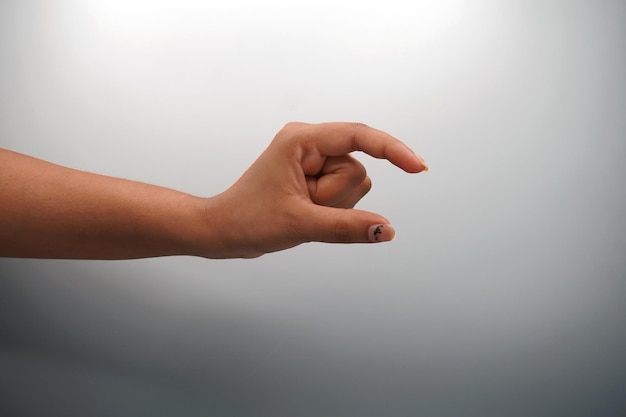 hand gesture of demonstrate something isolated on white background