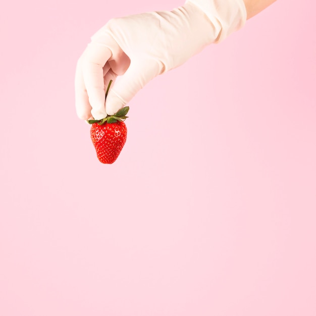 Hand in glove holds strawberries on a pink background.