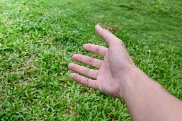 Photo hand on grass background various hands hand symbols soft sun background body languagebody