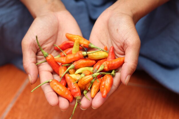 hand held chili