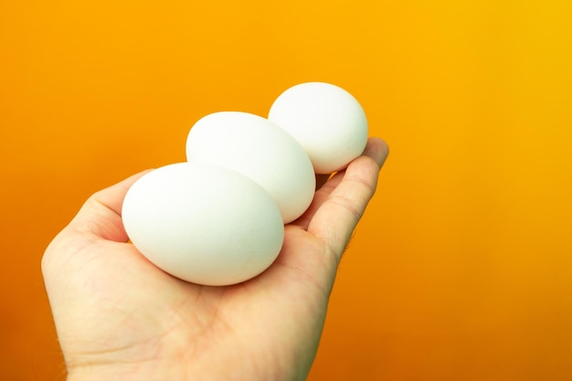 Hand holding boiled eggs on a orange background