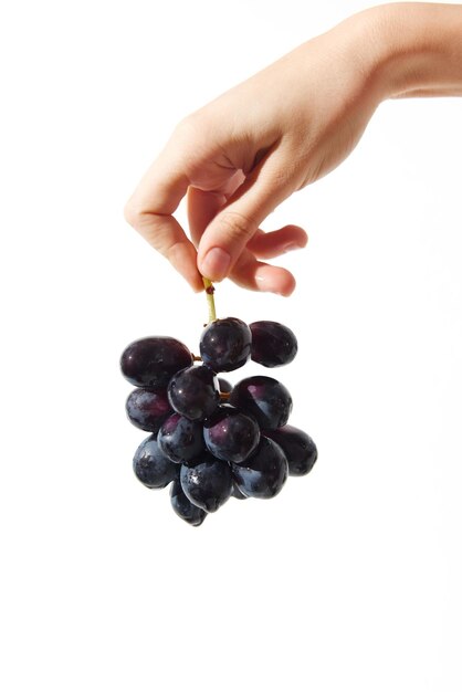 Photo hand holding a bunch of black grapes isolated on a white background