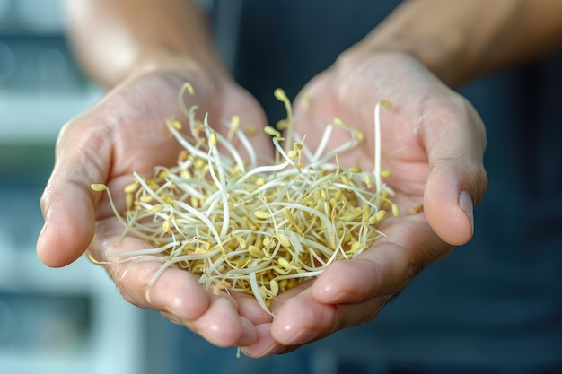 A hand holding a bunch of fresh bean sprouts