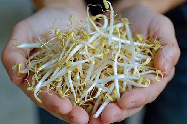 A hand holding a bunch of fresh bean sprouts