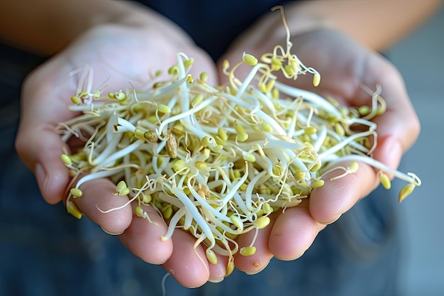 A hand holding a bunch of fresh bean sprouts