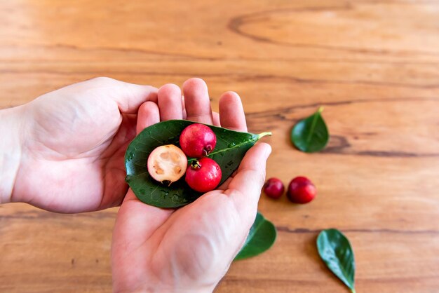 Hand holding Cattley guava fruit red fruit Psidium cattleyanum top view