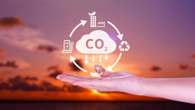 Hand holding CO2 reducing virtual icon for decrease carbon dioxide emission carbon footprint and carbon credit to limit global warming from Bio climate change concept