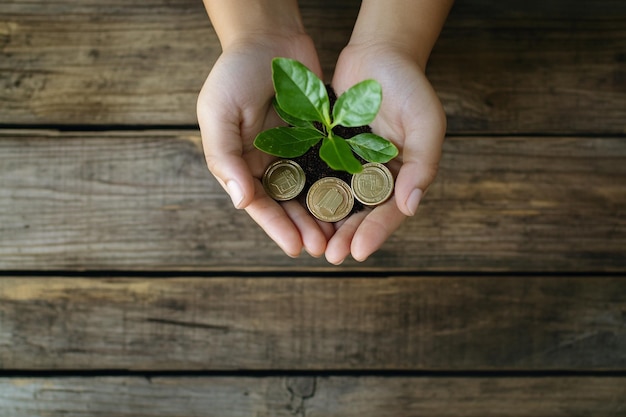 Photo hand holding coins with growing plant symbolizing financial growth investment and sustainability