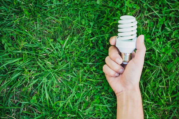 Hand holding compact fluorescent light bulb over green grass