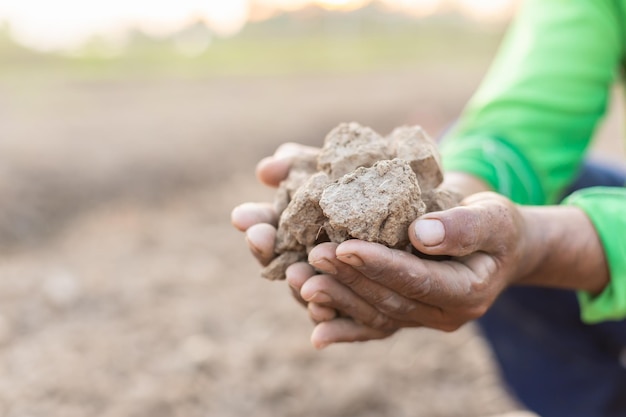 Hand holding dry soil at the field in sunrise or sunset time Growth plant concept