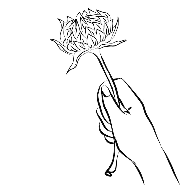 hand holding a flower