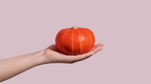 Hand holding fresh orange pumpkin on pink background