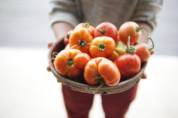 Hand holding fresh raw red tomatoes in wicker basket