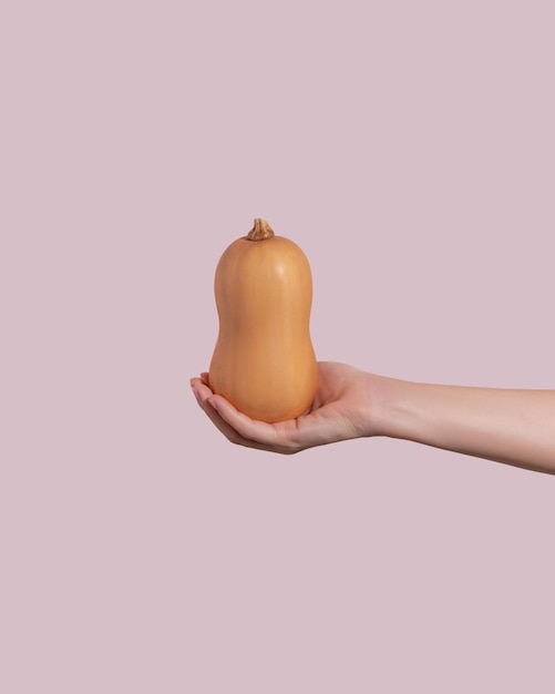 Hand holding fresh yellow pumpkin on pink background