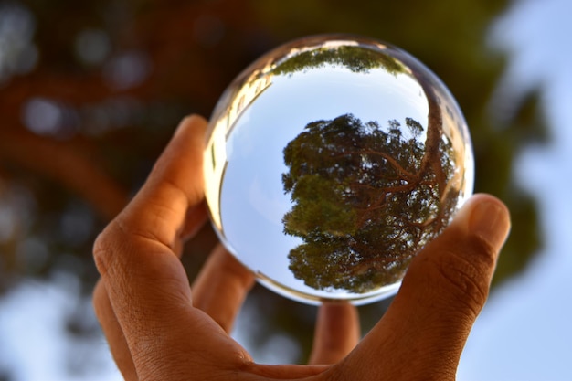 A hand holding a glass ball with trees on it