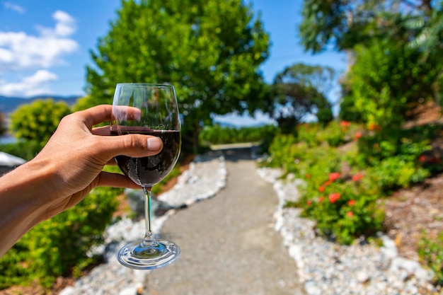 Photo hand holding glass of wine