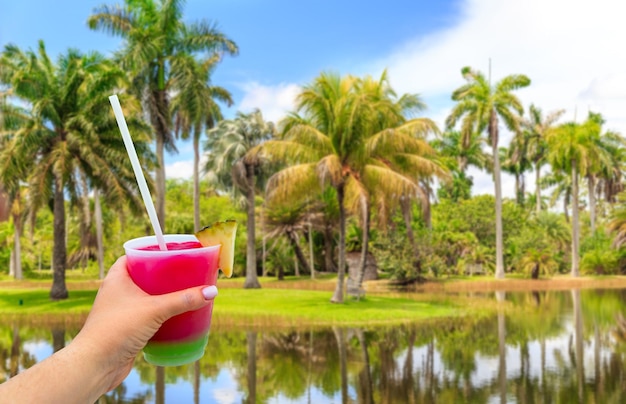 Hand holding a glass with cocktail and straw and beautiful palm trees with lake on blue sky