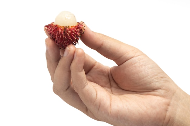 Hand holding half cut fresh organic rambutan delicious fruit isolated on white background