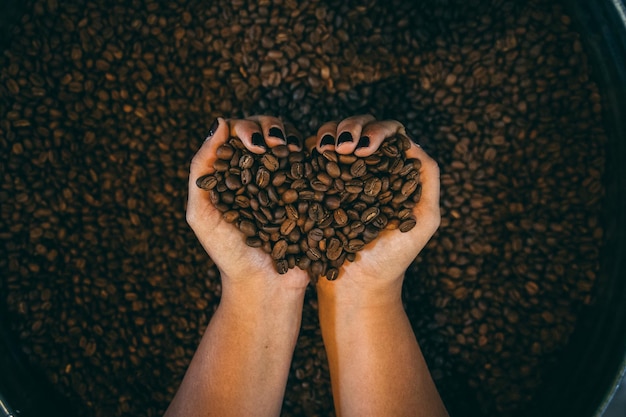 Hand holding a heap of roasted coffee beans