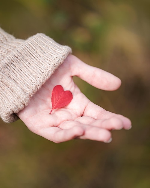 Photo hand holding a heart shaped leaf