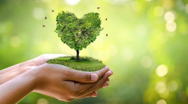 Hand holding a heart tree environment earth day