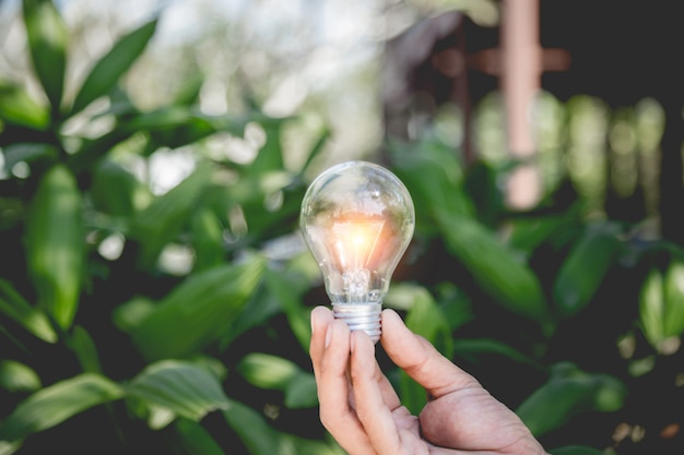 Hand holding light bulb,energy sources for renewable,natural energy and love the world concept.