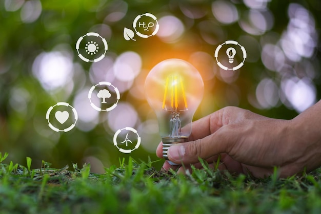 Hand holding light bulb in nature on green background for energy concept