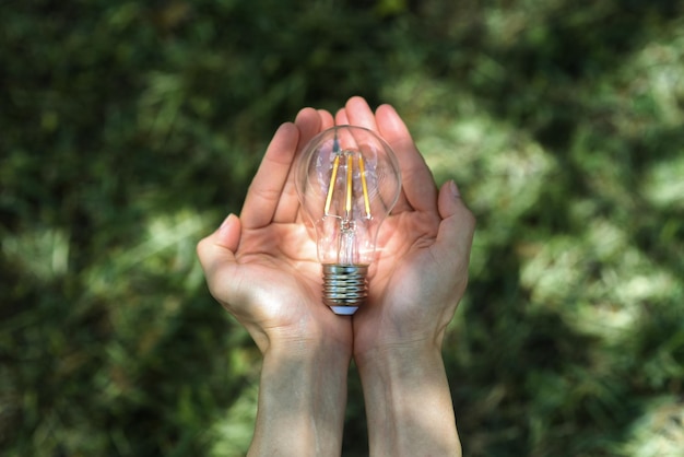 Hand holding light bulb in nature on green background for energy concept