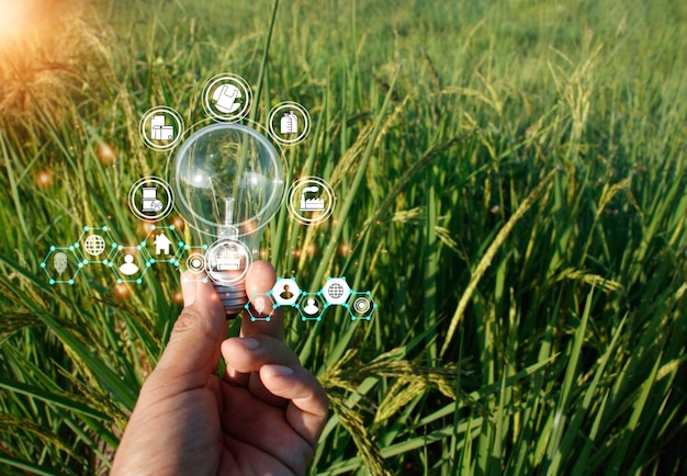 Hand holding light bulbs and icons global warmingCreative thinking ideas for work on desksearching