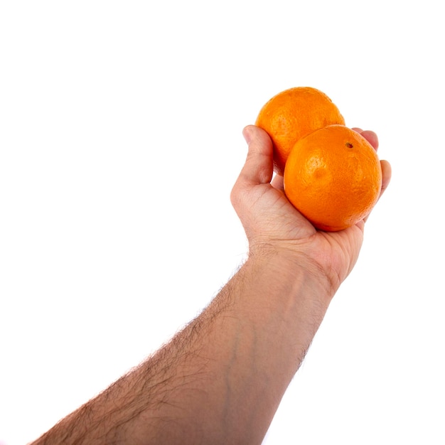 Hand holding mandarin on white background