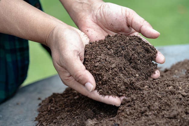 Hand holding peat moss organic matter improve soil for agriculture organic plant growing ecology concept