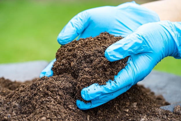 Hand holding peat moss organic matter improve soil for agriculture organic plant growing ecology concept