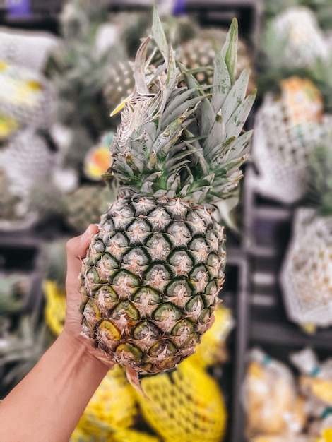 Hand holding pineapple