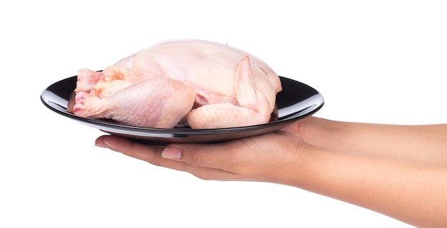 hand holding Raw chicken on a black plate isolated on white background