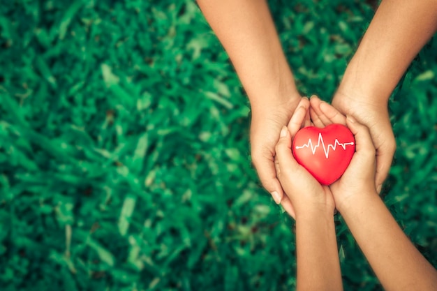 A hand holding red heart with heart waveShe is hand holding it on blue backgroundheart healthhappy volunteer charityThe photo shows the principle of caring and good health