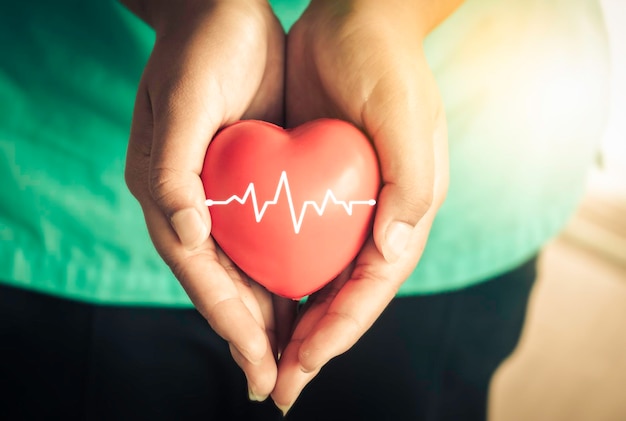 A hand holding red heart with heart waveShe is hand holding it on blue backgroundheart healthhappy volunteer charityThe photo shows the principle of caring and good health