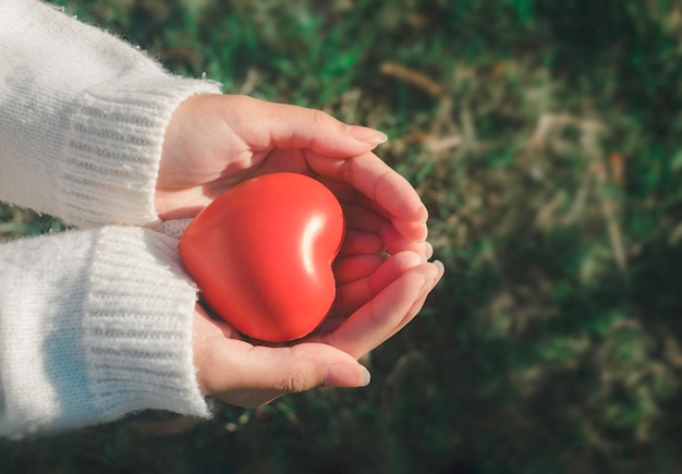 A hand holding red heartShe is Left right hand holding it on green backgroundheart healthhappy