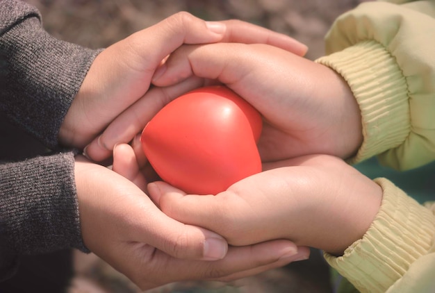 A hand holding red heartShe is Left or right hand holding it on green backgroundheart healthhappy