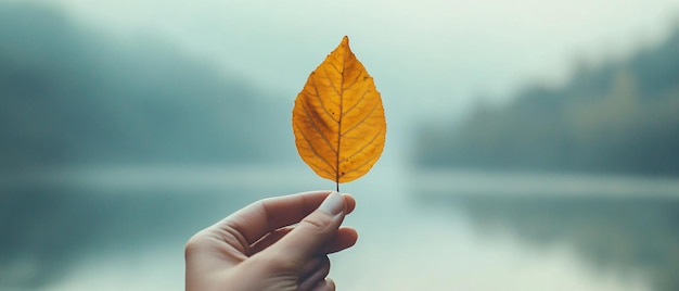 Photo hand holding a single golden leaf against a blue blurred background